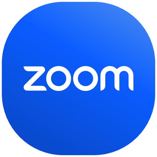 Zoom Pro 12 міс